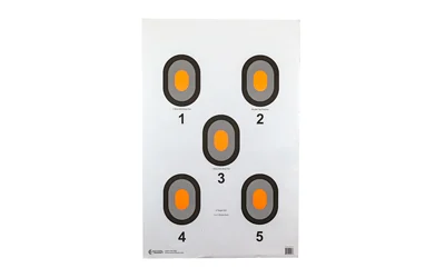 ACTION TGT ORG CENTER 5 BLSEYE 100PK