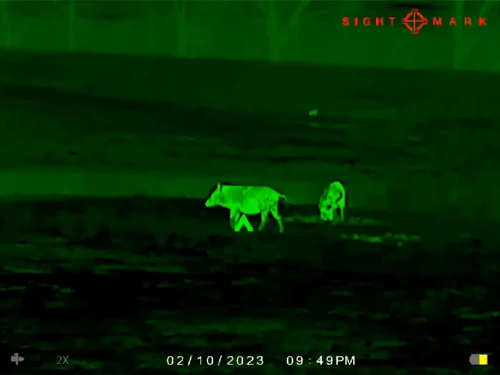 SIGHTMARK WRAITH MINI 2-16X35 - THERMAL RIFLE SCOPE 384X288 - Image 9